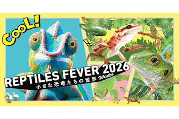 当日券】レプタイルズフィーバー2026 Winter ～小さな恐竜たちの世界