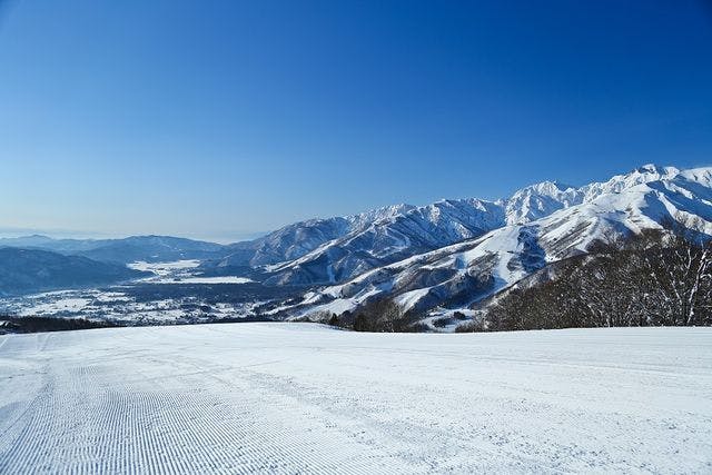 白馬岩岳スノーフィールド 早割リフト1日券＜全日┃小人