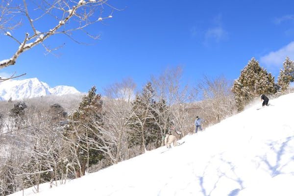 前売・最大900円割引】白馬岩岳スノーフィールド リフト2日券（IC