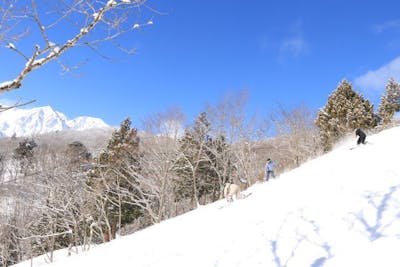 前売・最大900円割引】白馬岩岳スノーフィールド リフト2日券（IC