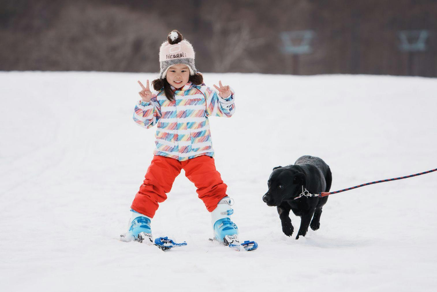 超特割！【親子ペア｜土日祝・年末年始】黒姫高原スノーパーク　ファミリーパーク　1dayチケット