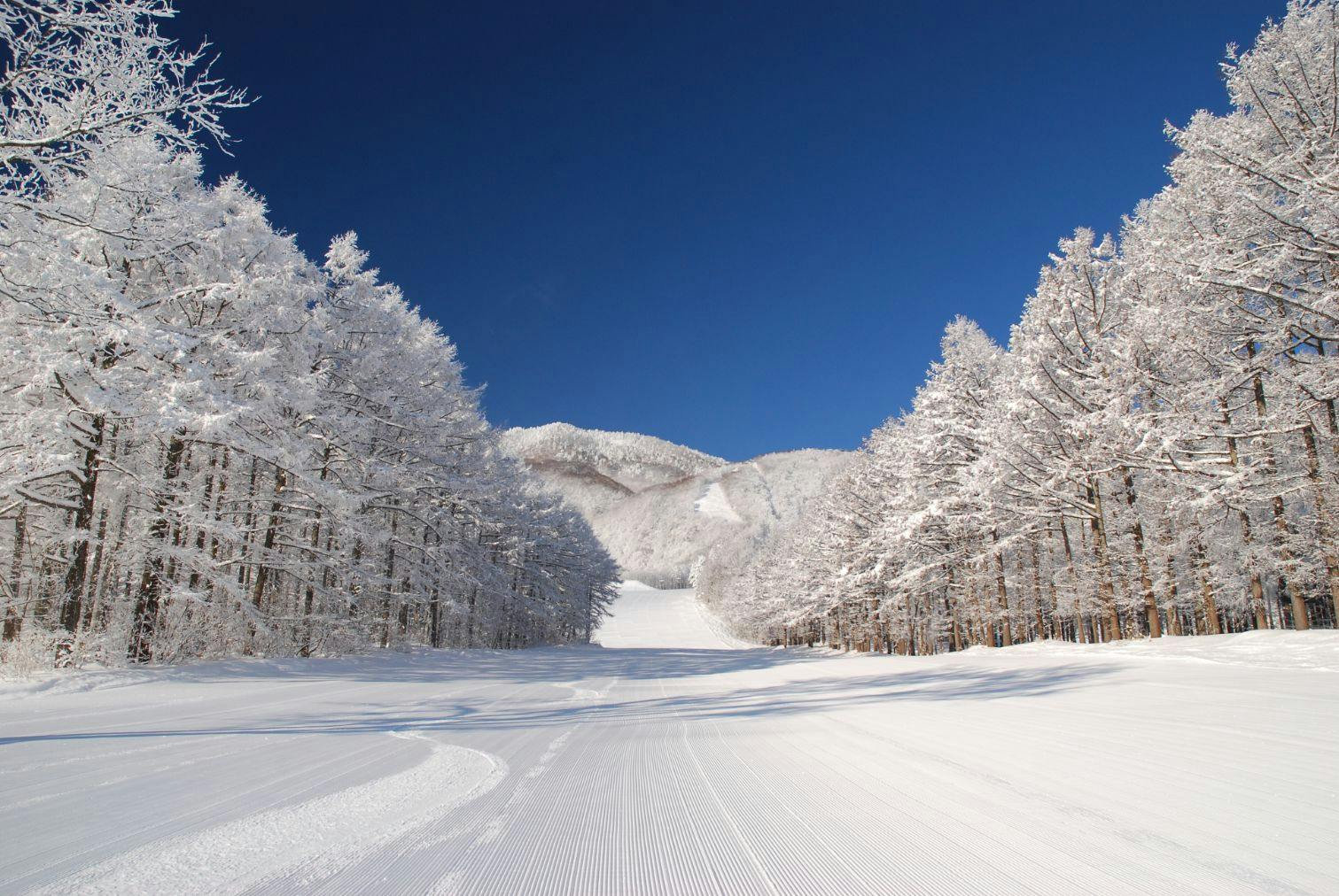 黒姫高原スノーパーク　一日券　4枚　割引クーポン付き 黒姫高原スノーパーク リフト券 4枚セット - メルカリ