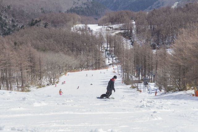 ブランドの通販・買取 れいみさまご専用 岩手のスキー場リフト１日引換