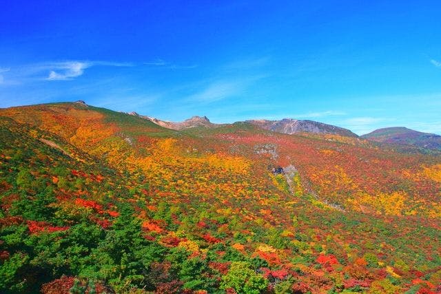 【クーポンで最大290円割引】日本百名山 安達太良山の紅葉を堪能！あだたら山ロープウェイ チケット