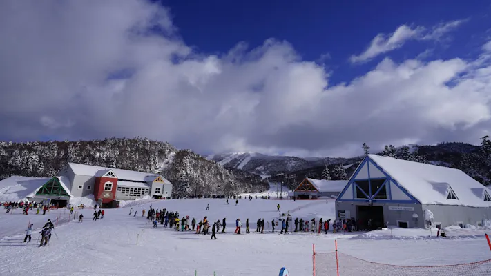 超特割！【最大20％割引】道内最高レベルのパウダースノーを満喫