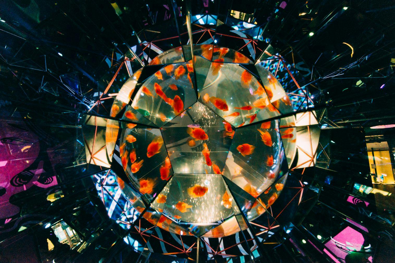 【12月31日（水）まで期間限定！最大300円割引】UWS AQUARIUM GA☆KYO 入場券