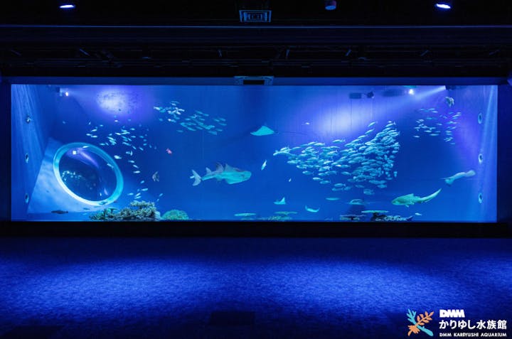 DMMかりゆし水族館