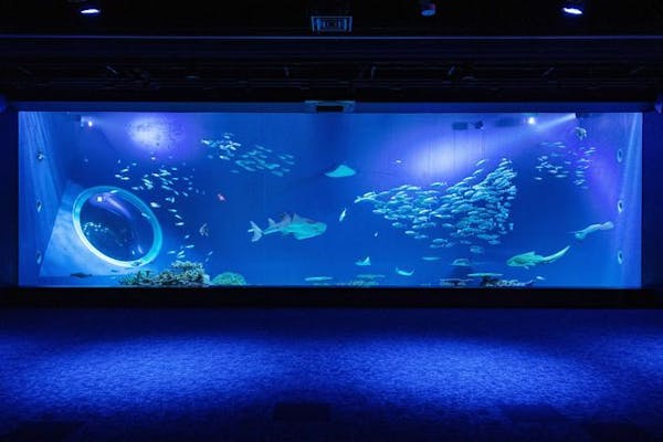 ※チケット要引換※超特割！【最大13％割引】DMMかりゆし水族館