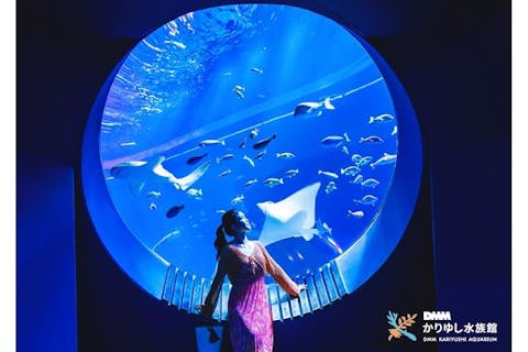 ※チケット要引換※　DMMかりゆし水族館入館チケット