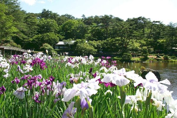 修善寺虹の郷 入園券｜アソビュー！