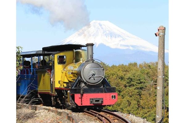 修善寺虹の郷 入園券＋ロムニー鉄道（乗車券・片道1回分）｜アソビュー！