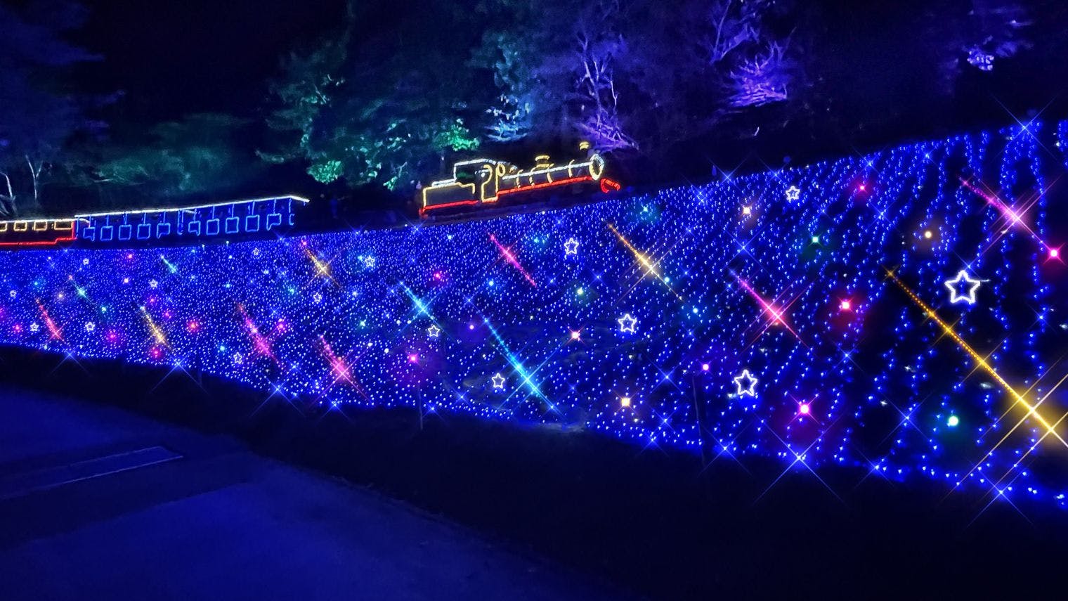 修善寺虹の郷　【最大200円割引】「イルミtheナイト」