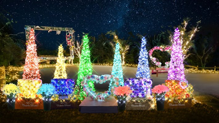 修善寺虹の郷 「もみじライトアップ」＋「イルミtheナイト」のセット券