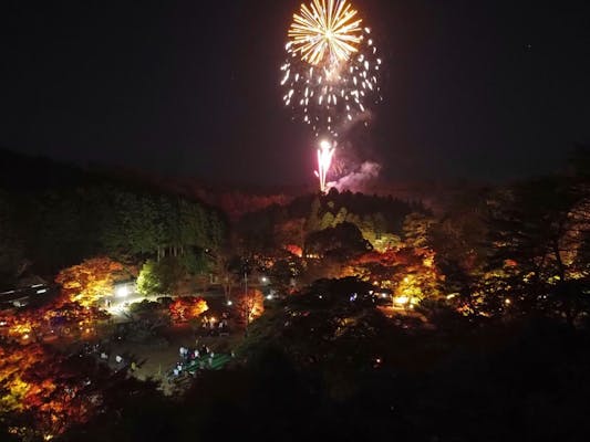 修善寺虹の郷 「もみじライトアップ」＋「イルミtheナイト」＋「花火