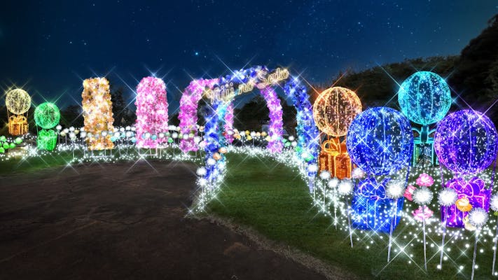 修善寺虹の郷 （昼間）入園券 + 「イルミtheナイト」のセット券（1日