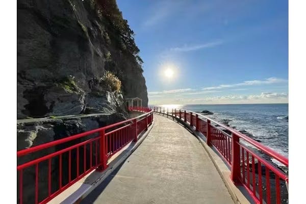 新江ノ島水族館×岩屋｜割引チケット・クーポンならアソビュー！