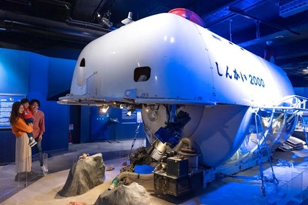 セットでお得】江の島岩屋、新江ノ島水族館セットチケット｜アソビュー！