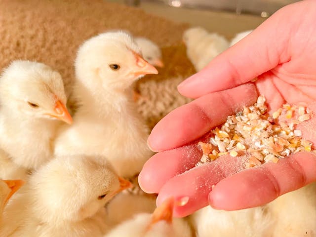 Moff animal cafe イオンモール新利府店