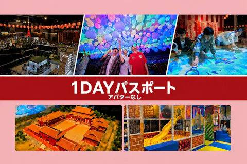 【最大37%割引】Little Universe OKINAWA 1日パスポート