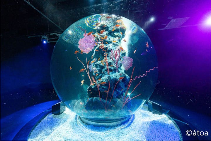 AQUARIUM × ART　atoa