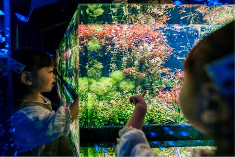 【大人＋幼児ペア】劇場型アクアリウム「 アトア átoa 」入場券 ※8/29～11/3