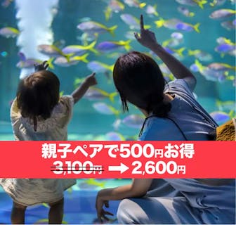 【大人+幼児ペア（3歳〜）が500円お得】劇場型アクアリウム「アトア átoa」入場券 ※2025/11/4～