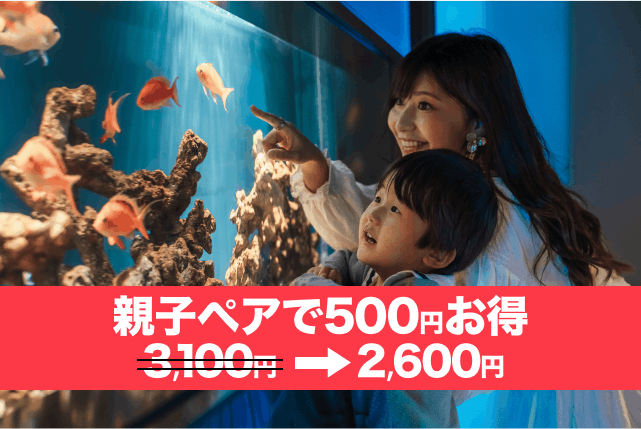 【大人+幼児ペアが500円お得】劇場型アクアリウム「アトア átoa」入場券 ※2025/11/4～