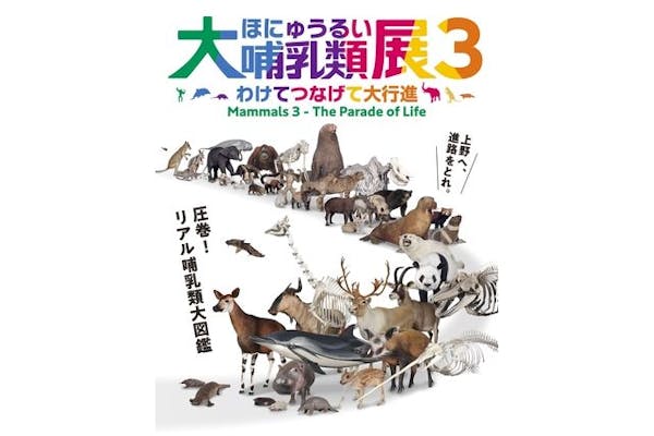 当日券】特別展「大哺乳類展３－わけてつなげて大行進」＠国立科学博物館｜アソビュー！