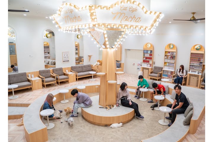 猫カフェモカ　イオンモール太田店
