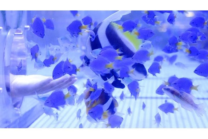 浜名湖体験学習施設ウォット