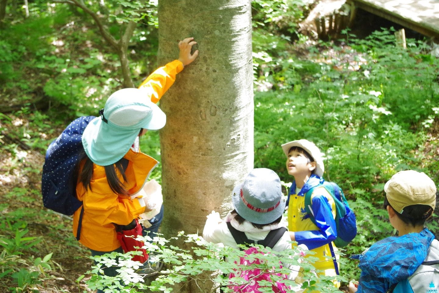 【5/25開催】那須平成の森×SUBARU　一つのいのちプロジェクト　国立公園の自然を愉しもう！
