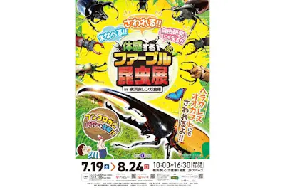 体感するファーブル昆虫展in横浜赤レンガ倉庫｜割引チケット・クーポン