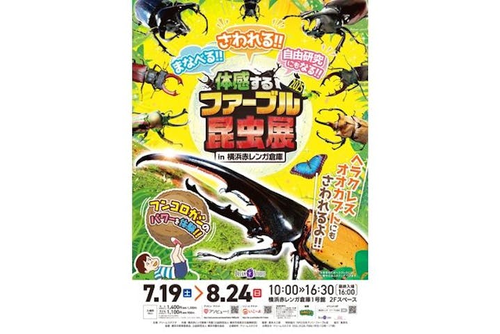 体感するファーブル昆虫展in横浜赤レンガ倉庫