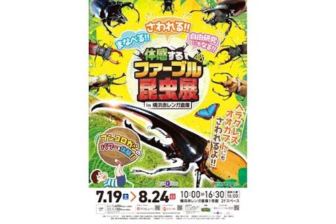 【前売券】体感するファーブル昆虫展2025 in 横浜赤レンガ倉庫