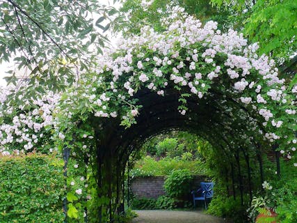 【4月19日～6月4日有効/200円割引】5,000種の植物が織りなす本格英国庭園前売りチケット！
