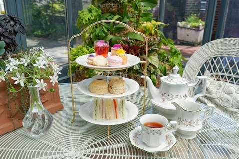 【4月19日～6月4日有効/アフタヌーンティー付/400円割引】5,000種の植物が織りなす絶景！