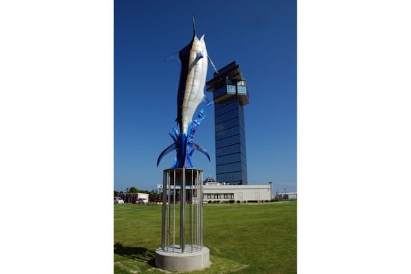 高さ60mから絶景を独り占め！大洗マリンタワー 入館チケット｜アソビュー！