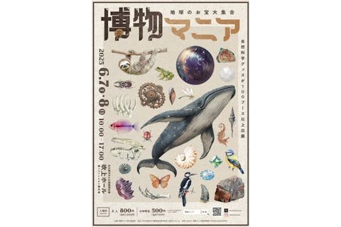 【前売券】地球のお宝大集合！博物マニア＠名古屋市中小企業振興会館（2025/6/7～6/8）