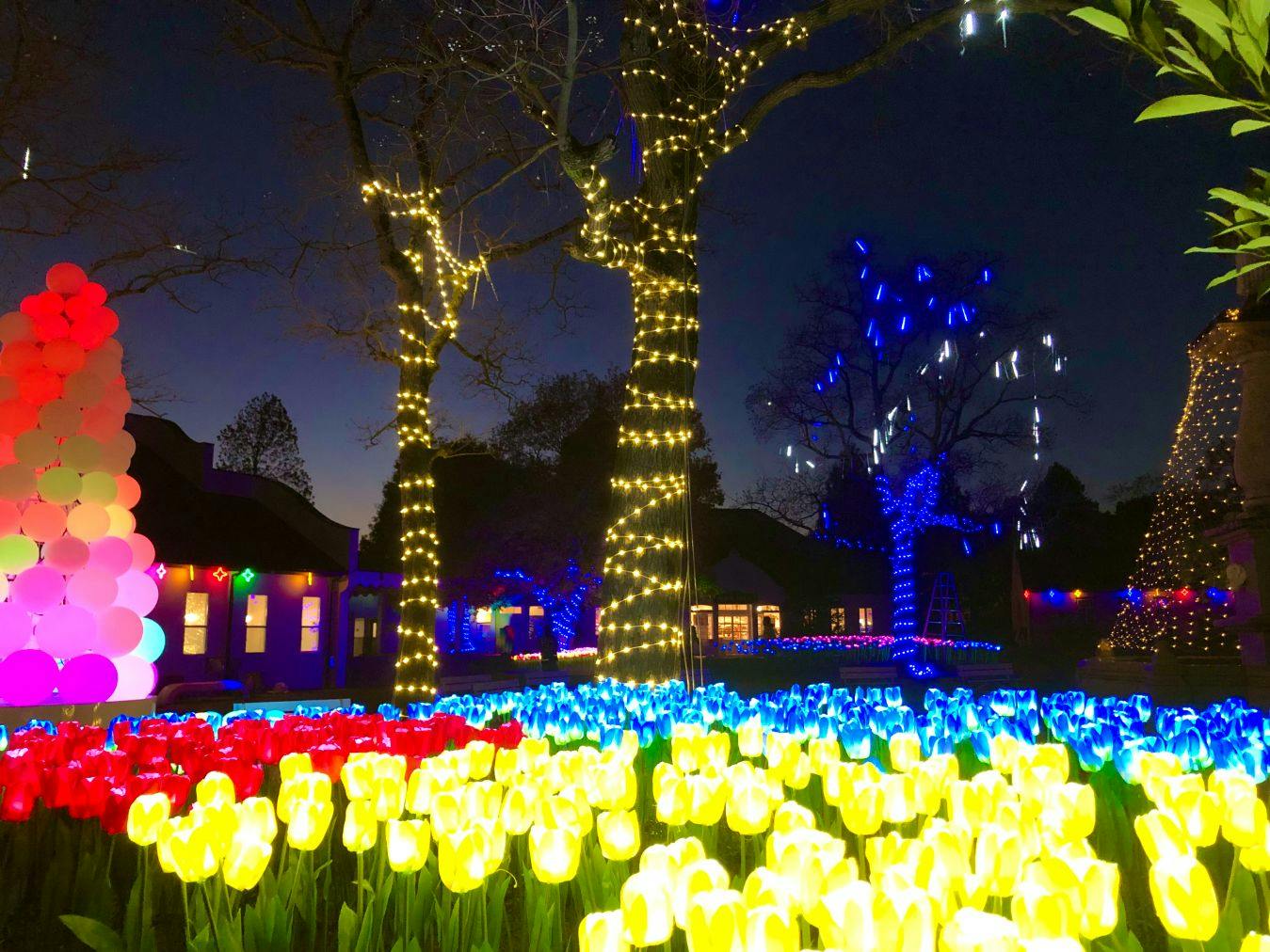 【10％割引】愛犬と一緒に楽しめる！四季折々の花やアトラクション体験 ブルーメの丘 入園チケット