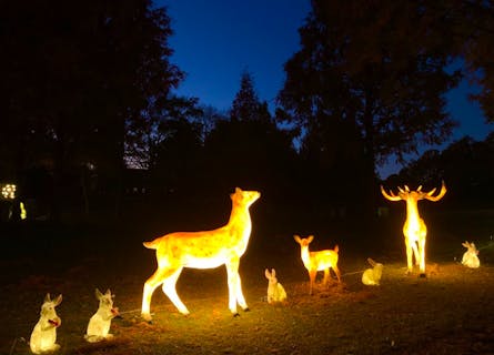 【大人ペア・11％割引】四季折々の花やアトラクション体験を楽しめる ブルーメの丘 入園チケット