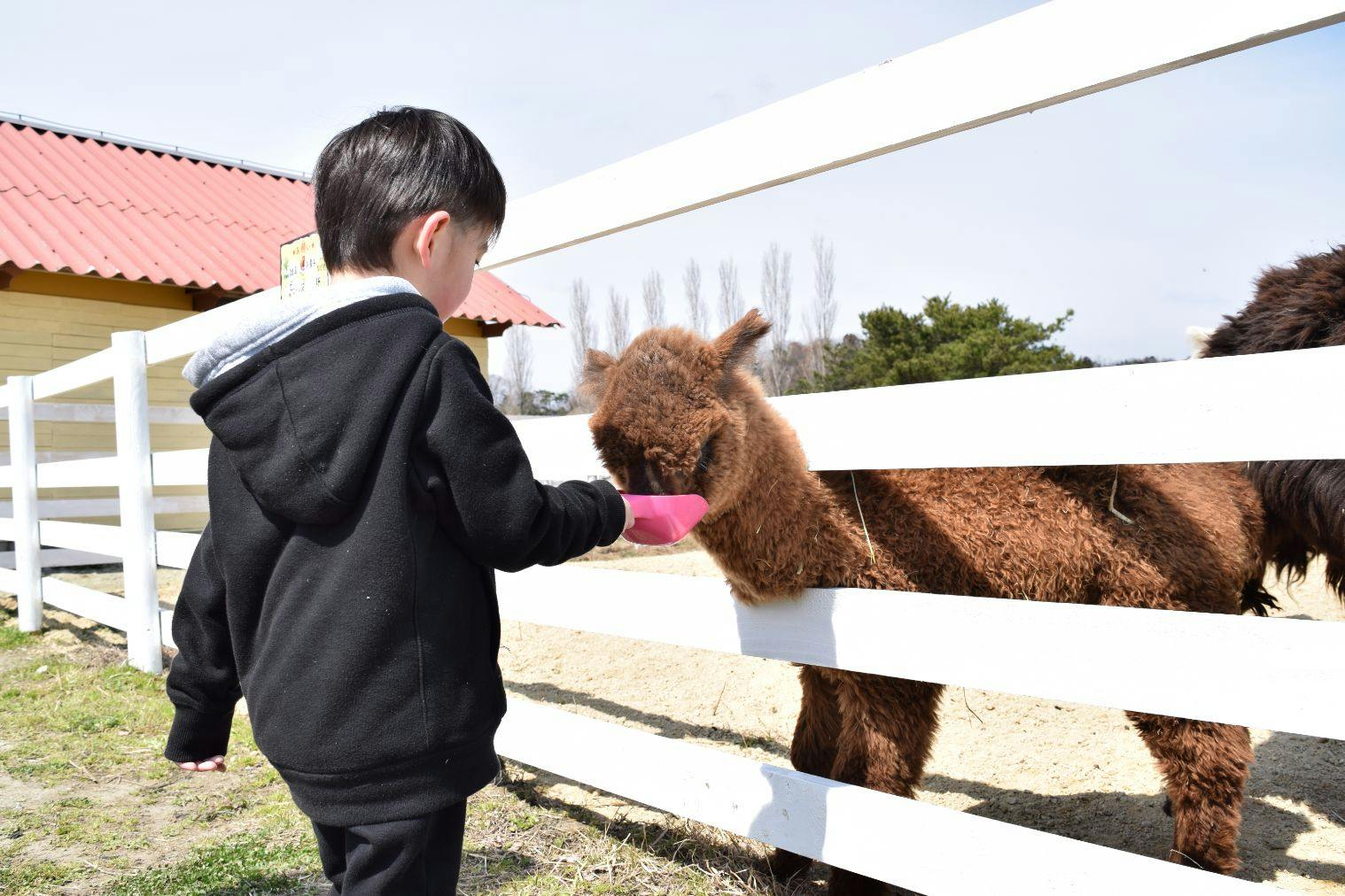 ＜最大3,000円OFFクーポン利用可＞【10％割引】「ブルーメの丘」入園チケット
