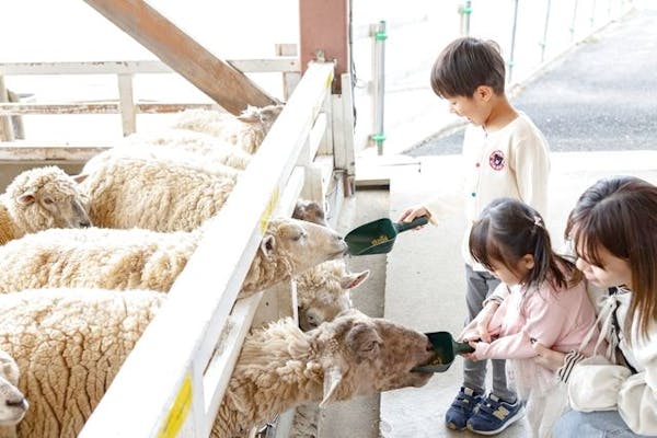 ※完売※現地にて定価で販売しております！ ハーベストの丘 入園チケット｜アソビュー！