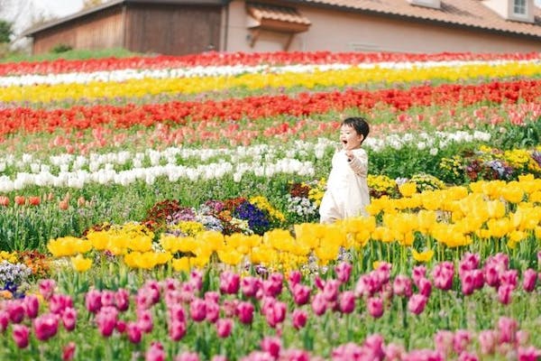 最大10％割引】身近な自然の中でリフレッシュ！ ハーベストの丘 入園チケット｜アソビュー！