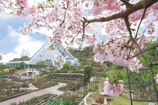 【最大10％割引】花きを学び、花きに憩う！ 大阪府立花の文化園  入園チケット