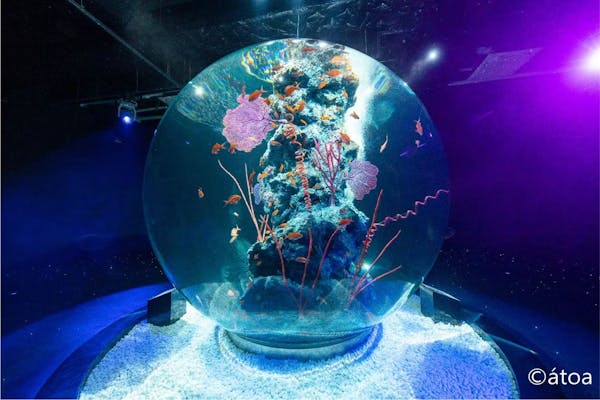 神戸みなと温泉 蓮×AQUARIUM × ART atoa｜割引チケット・クーポンなら