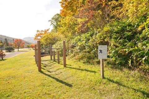 【アソビュー限定】函館の大自然を遊び尽くす！屋外遊び放題チケット！！