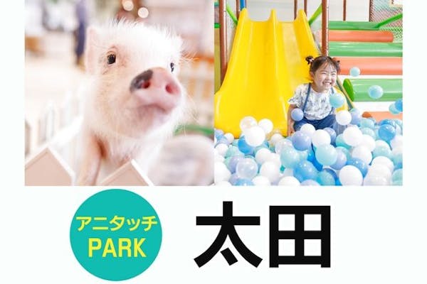 100円割引・翌日より利用可】アニタッチPARKイオンモール太田 入場