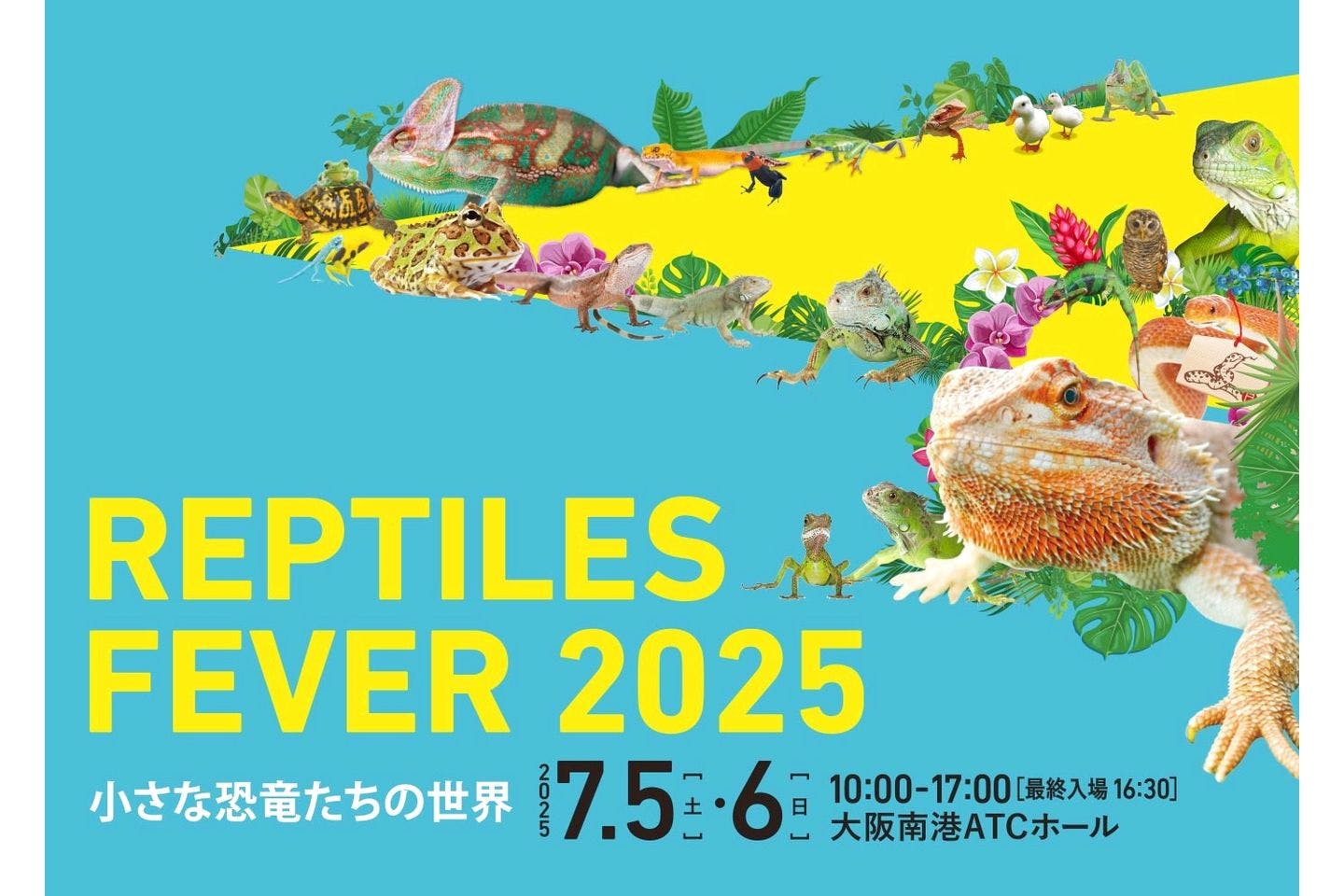 前売券】レプタイルズフィーバー2025 ~小さな恐竜たちの世界~(7