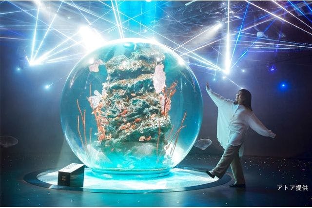 平日限定・2施設で10％割引】アクアリウム アトア×KOBEとんぼ玉