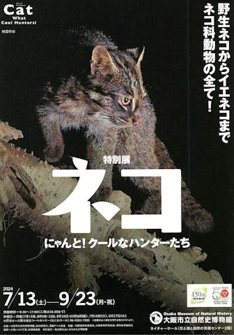 特別展「ネコ」 ～にゃんと！クールなハンターたち～